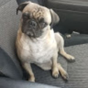 Meet your Posher, Jackie